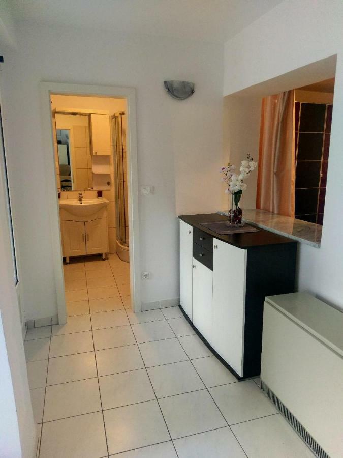 Lovely Apartment With Garden And Terrace Rijeka Exterior foto